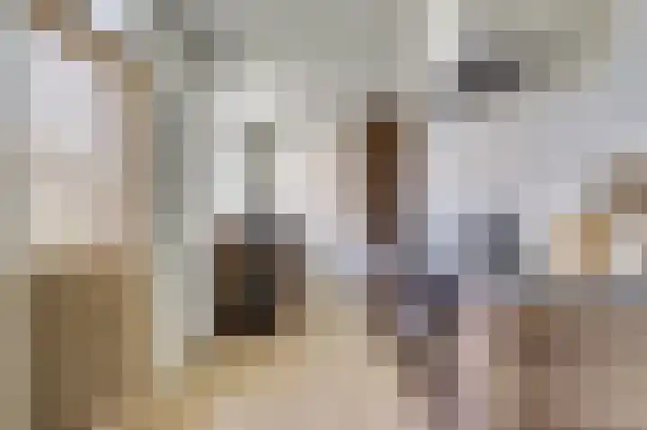 Koningin Julianastraat 4 Hoedekenskerke thumbnail 18