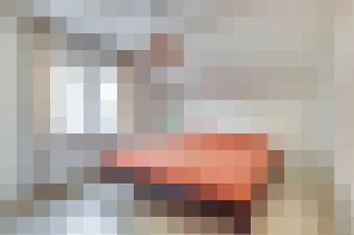 Koningin Julianastraat 4 Hoedekenskerke thumbnail 20
