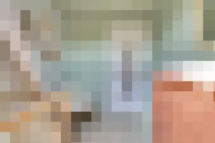 Koningin Julianastraat 4 Hoedekenskerke thumbnail 23