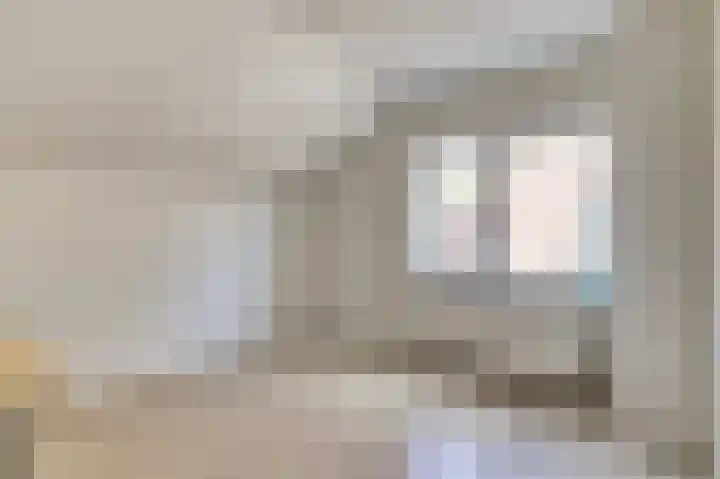 Koningin Julianastraat 4 Hoedekenskerke thumbnail 25