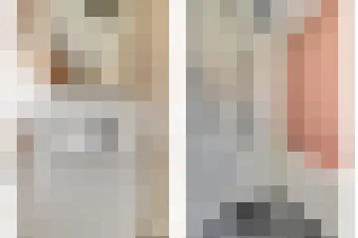 Koningin Julianastraat 4 Hoedekenskerke thumbnail 26