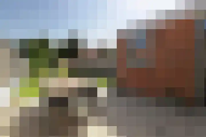 Koningin Julianastraat 4 Hoedekenskerke thumbnail 30