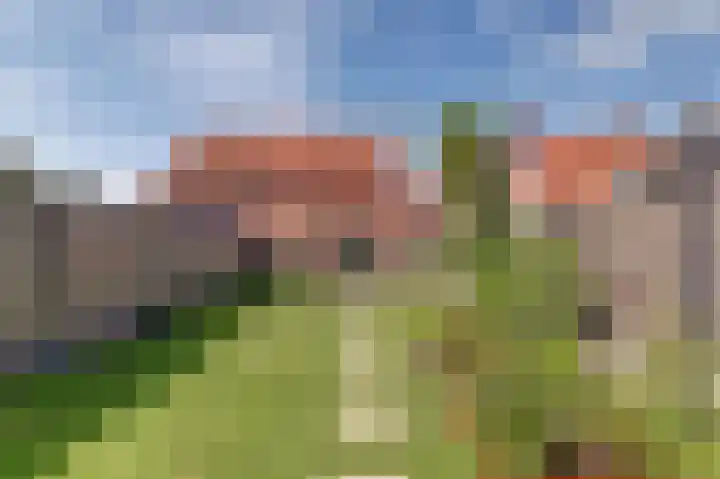 Koningin Julianastraat 4 Hoedekenskerke thumbnail 31