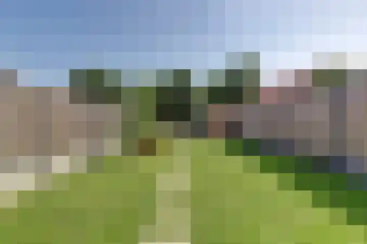 Koningin Julianastraat 4 Hoedekenskerke thumbnail 32