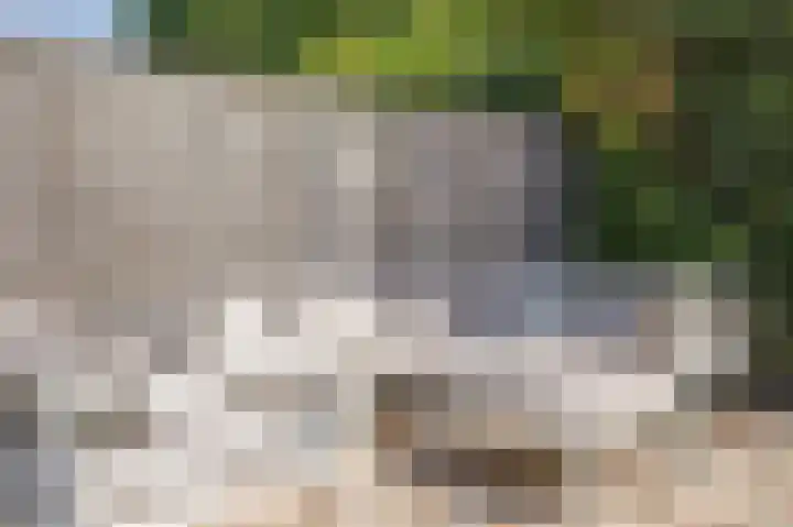 Koningin Julianastraat 4 Hoedekenskerke thumbnail 34