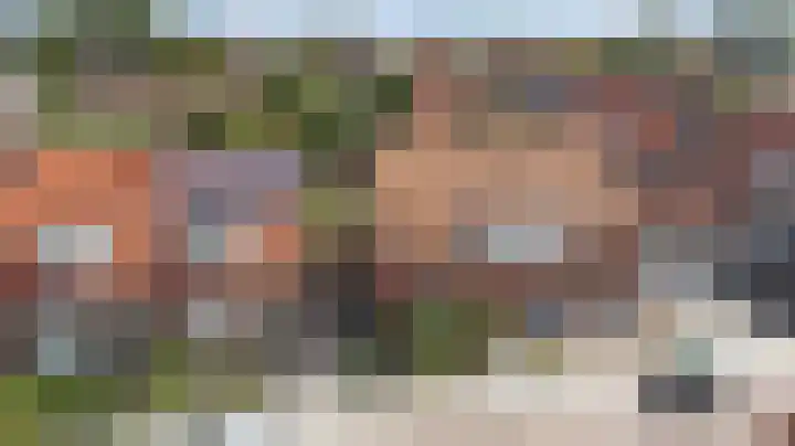 Koningin Julianastraat 4 Hoedekenskerke thumbnail 37