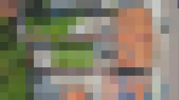 Koningin Julianastraat 4 Hoedekenskerke thumbnail 38