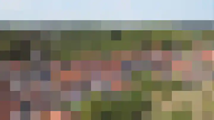 Koningin Julianastraat 4 Hoedekenskerke thumbnail 39