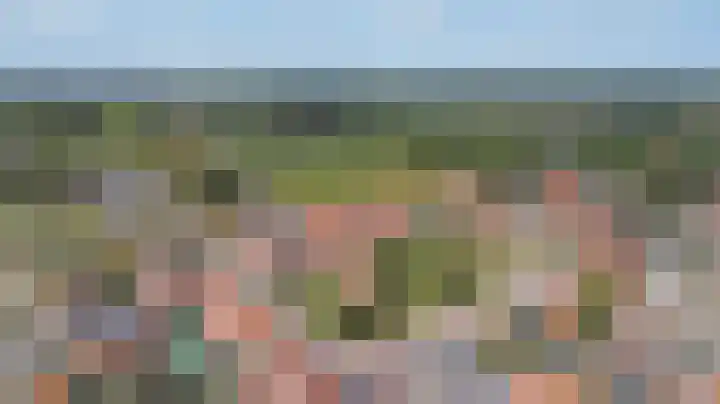 Koningin Julianastraat 4 Hoedekenskerke thumbnail 40