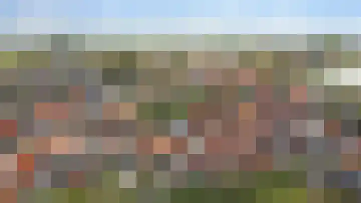 Koningin Julianastraat 4 Hoedekenskerke thumbnail 41