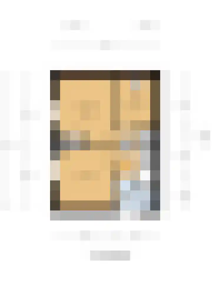 Koningin Julianastraat 4 Hoedekenskerke thumbnail 44