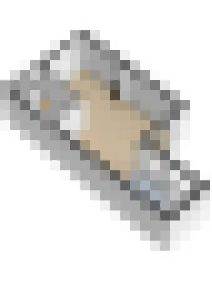 Koningin Julianastraat 4 Hoedekenskerke thumbnail 46