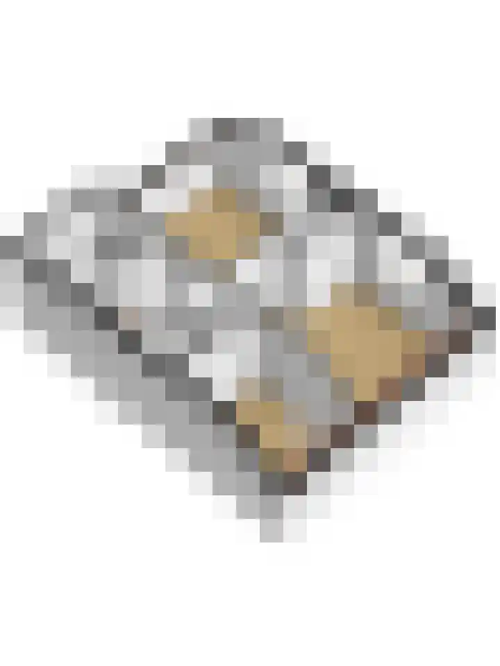 Koningin Julianastraat 4 Hoedekenskerke thumbnail 47