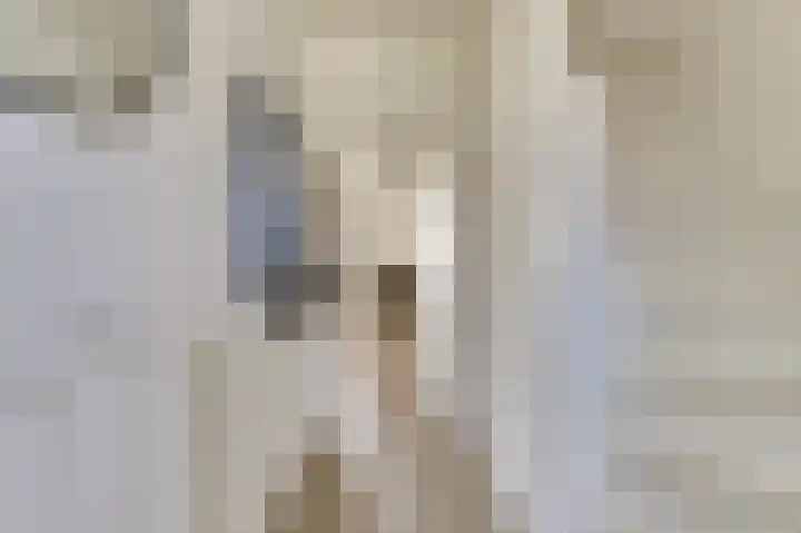 Koningin Julianastraat 4 Hoedekenskerke thumbnail 5