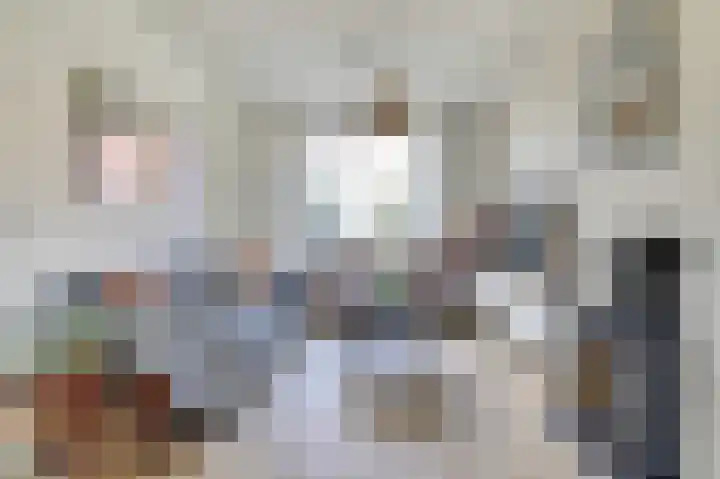 Koningin Julianastraat 4 Hoedekenskerke thumbnail 7