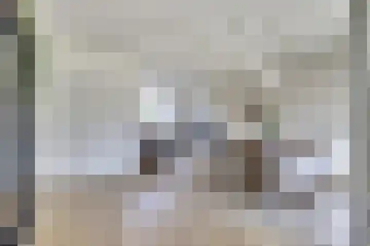 Koningin Julianastraat 4 Hoedekenskerke thumbnail 8