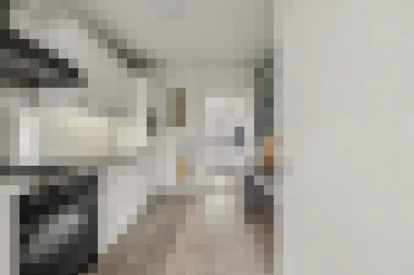 Koningin Julianastraat 4 Lienden thumbnail 19