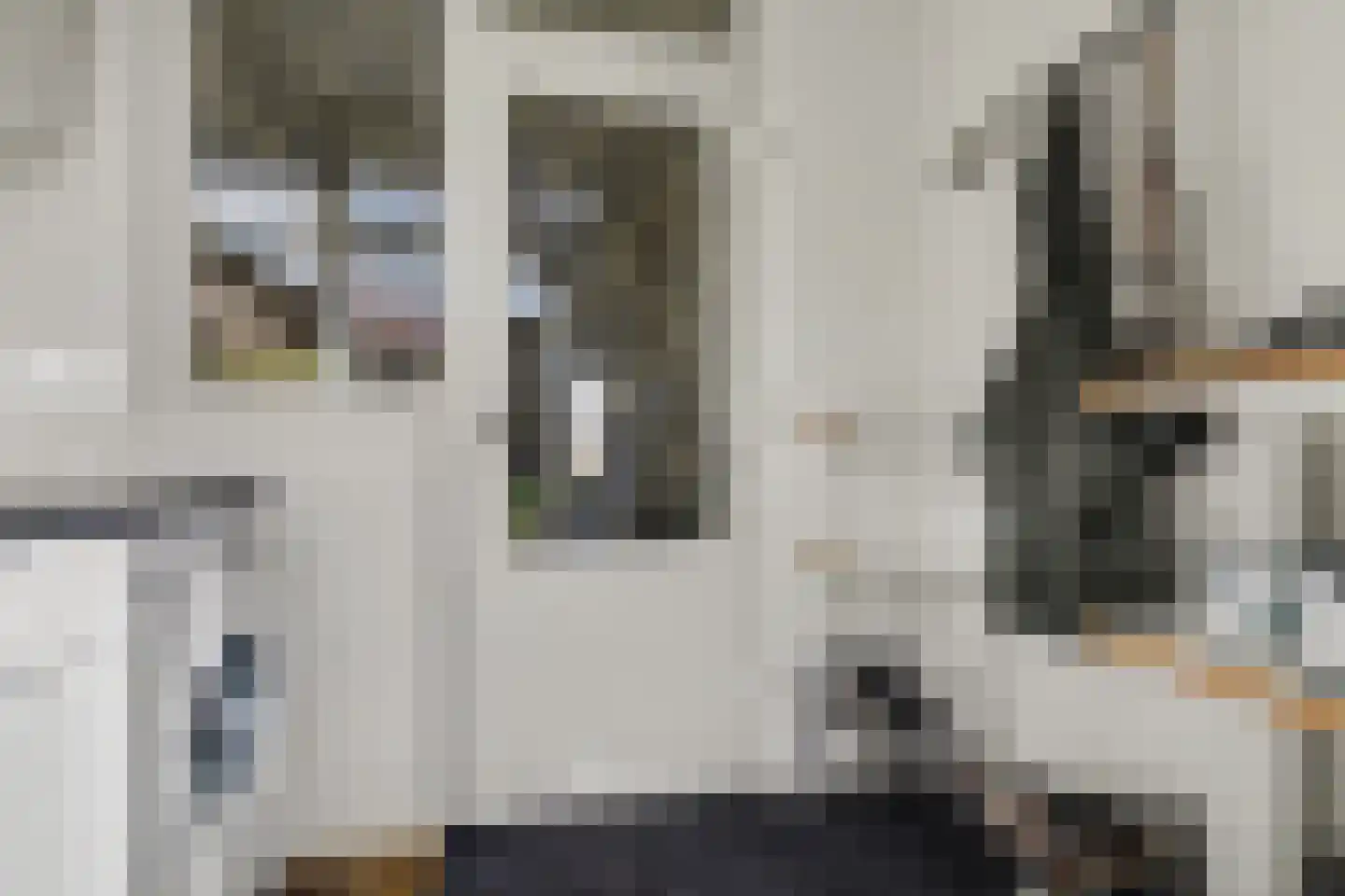 Koningin Julianastraat 4 Lienden thumbnail 20