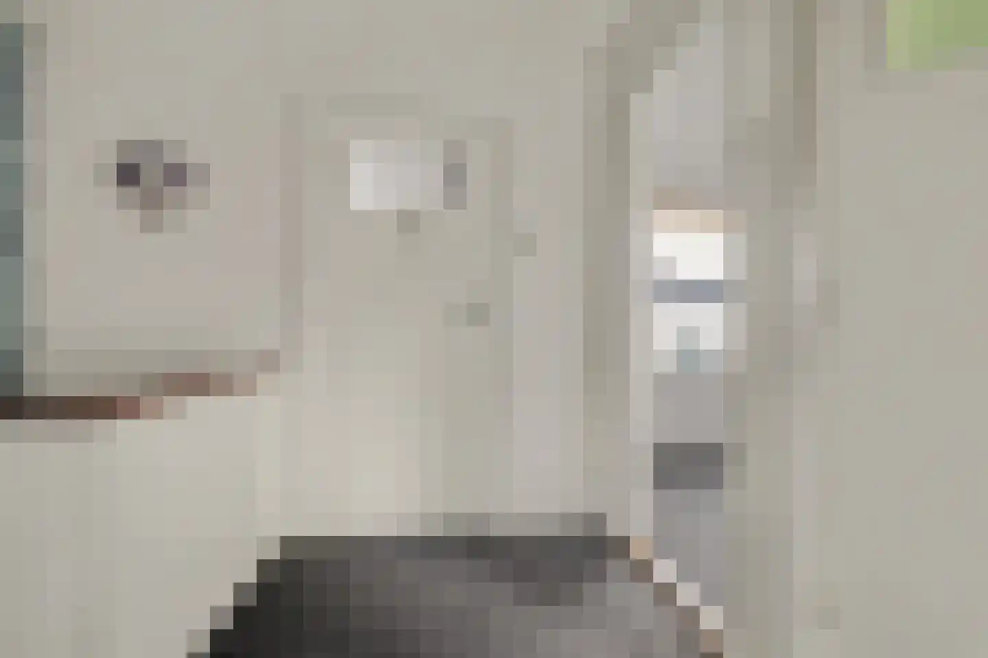 Koningin Julianastraat 4 Lienden thumbnail 24