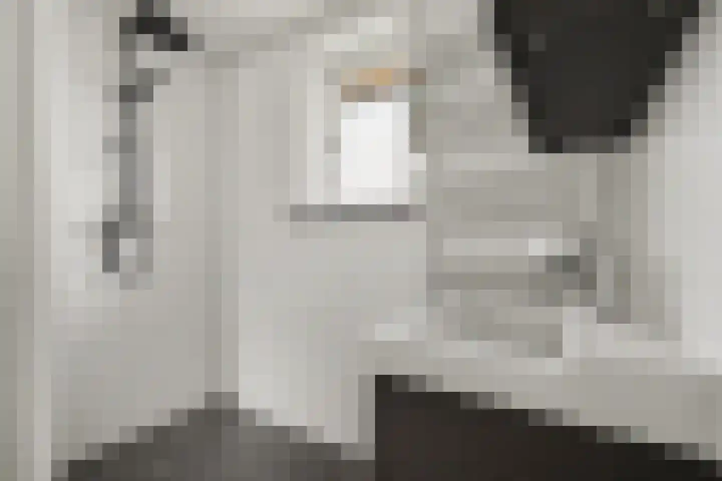 Koningin Julianastraat 4 Lienden thumbnail 31