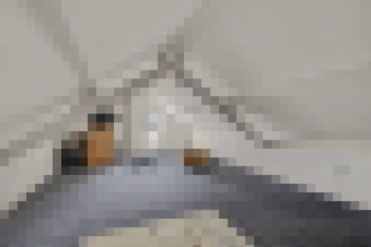 Koningin Julianastraat 4 Lienden thumbnail 37