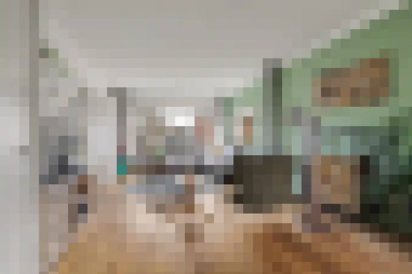 Koningin Julianastraat 4 Lienden thumbnail 4