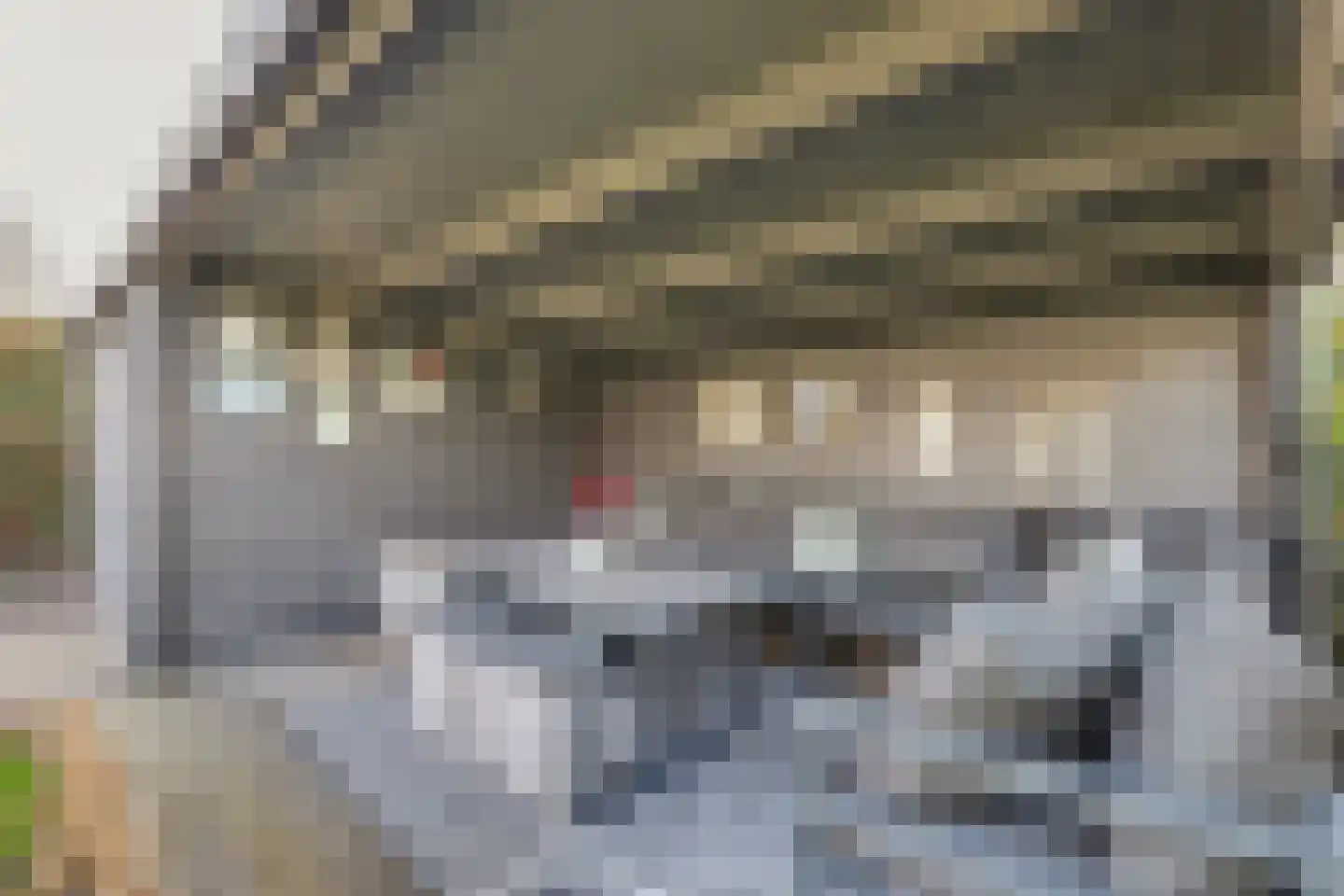 Koningin Julianastraat 4 Lienden thumbnail 46