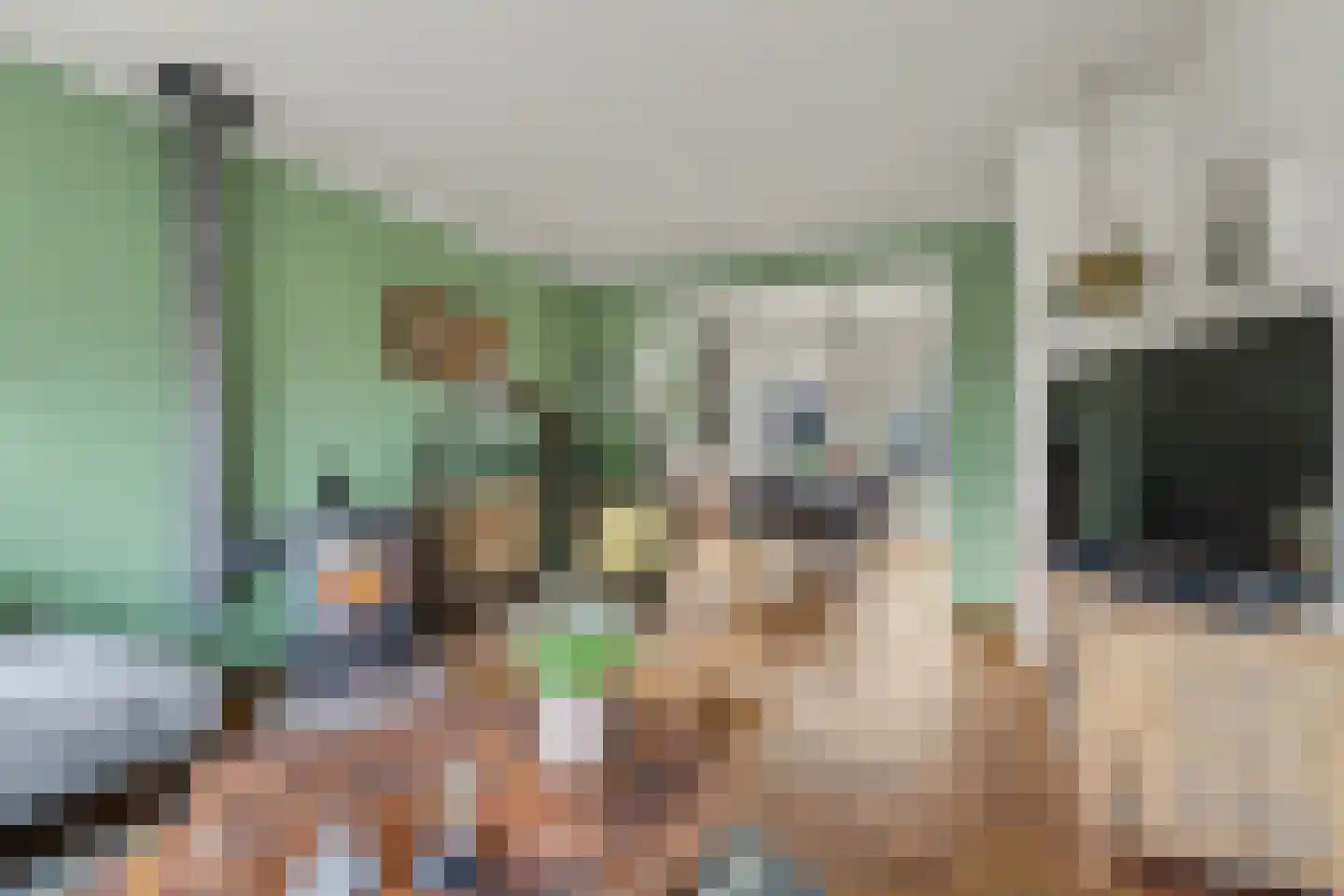 Koningin Julianastraat 4 Lienden thumbnail 8
