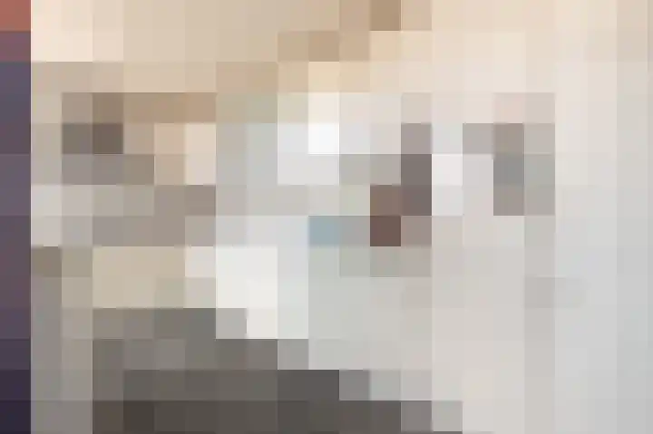 Koningin Julianastraat 4 Uitgeest thumbnail 12