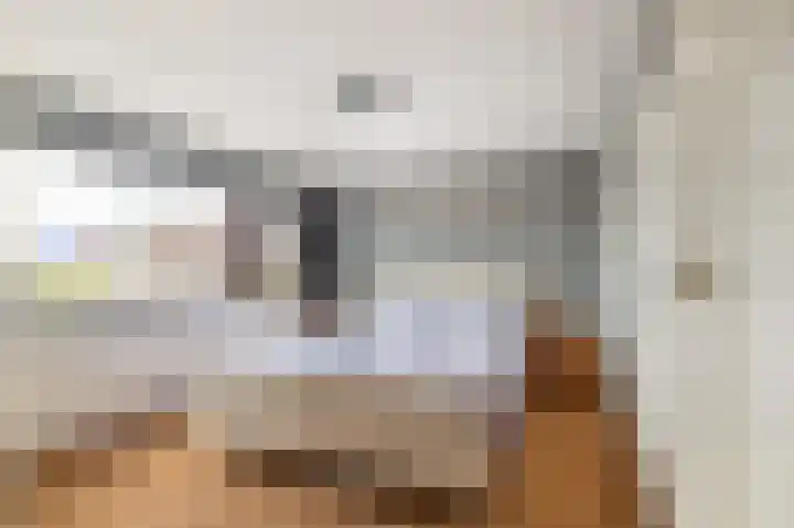 Koningin Julianastraat 4 Uitgeest thumbnail 18