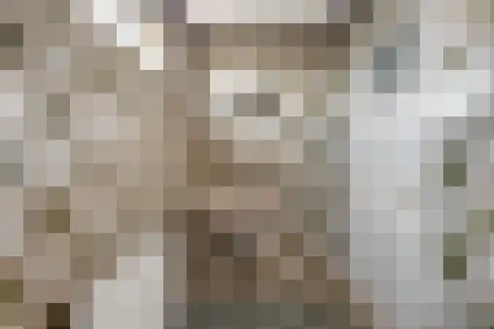 Koningin Julianastraat 4 Uitgeest thumbnail 26