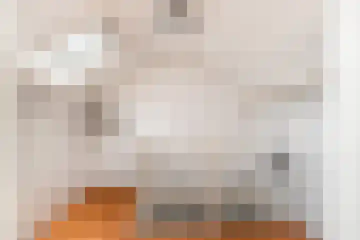 Koningin Julianastraat 4 Uitgeest thumbnail 27