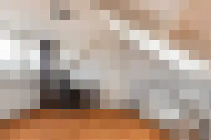 Koningin Julianastraat 4 Uitgeest thumbnail 29