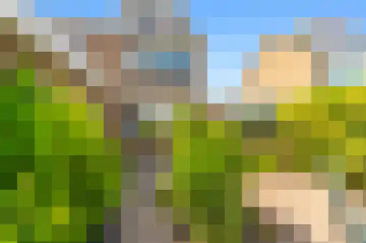 Koningin Julianastraat 4 Uitgeest thumbnail 30