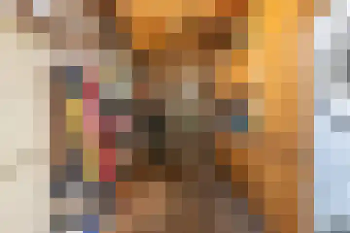 Koningin Julianastraat 4 Uitgeest thumbnail 32