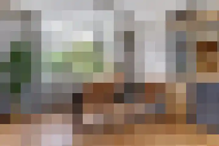 Koningin Julianastraat 40 Waarder thumbnail 10