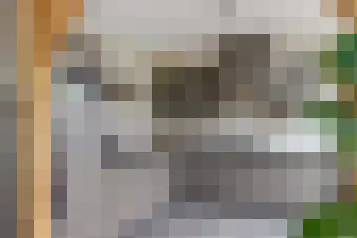 Koningin Julianastraat 40 Waarder thumbnail 14