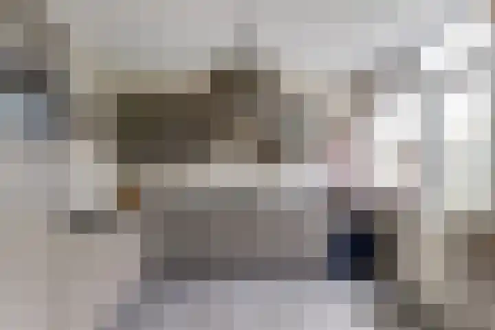 Koningin Julianastraat 40 Waarder thumbnail 15