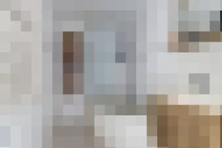 Koningin Julianastraat 40 Waarder thumbnail 31