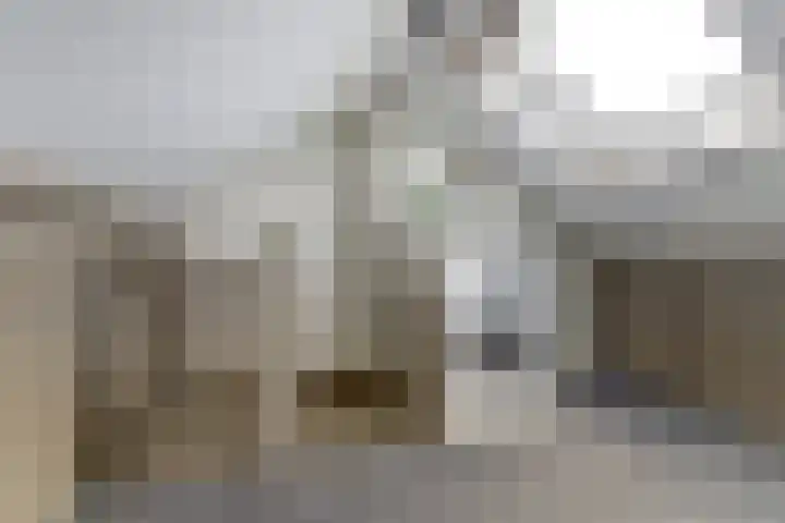 Koningin Julianastraat 40 Waarder thumbnail 33