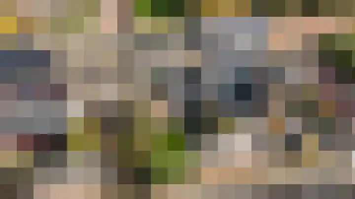 Koningin Julianastraat 40 Waarder thumbnail 37