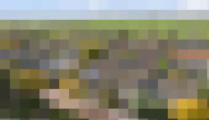 Koningin Julianastraat 40 Waarder thumbnail 40