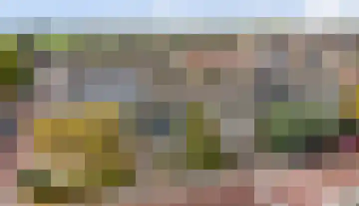 Koningin Julianastraat 40 Waarder thumbnail 42