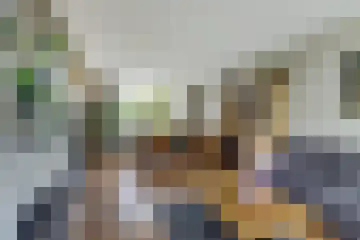 Koningin Julianastraat 40 Waarder thumbnail 8