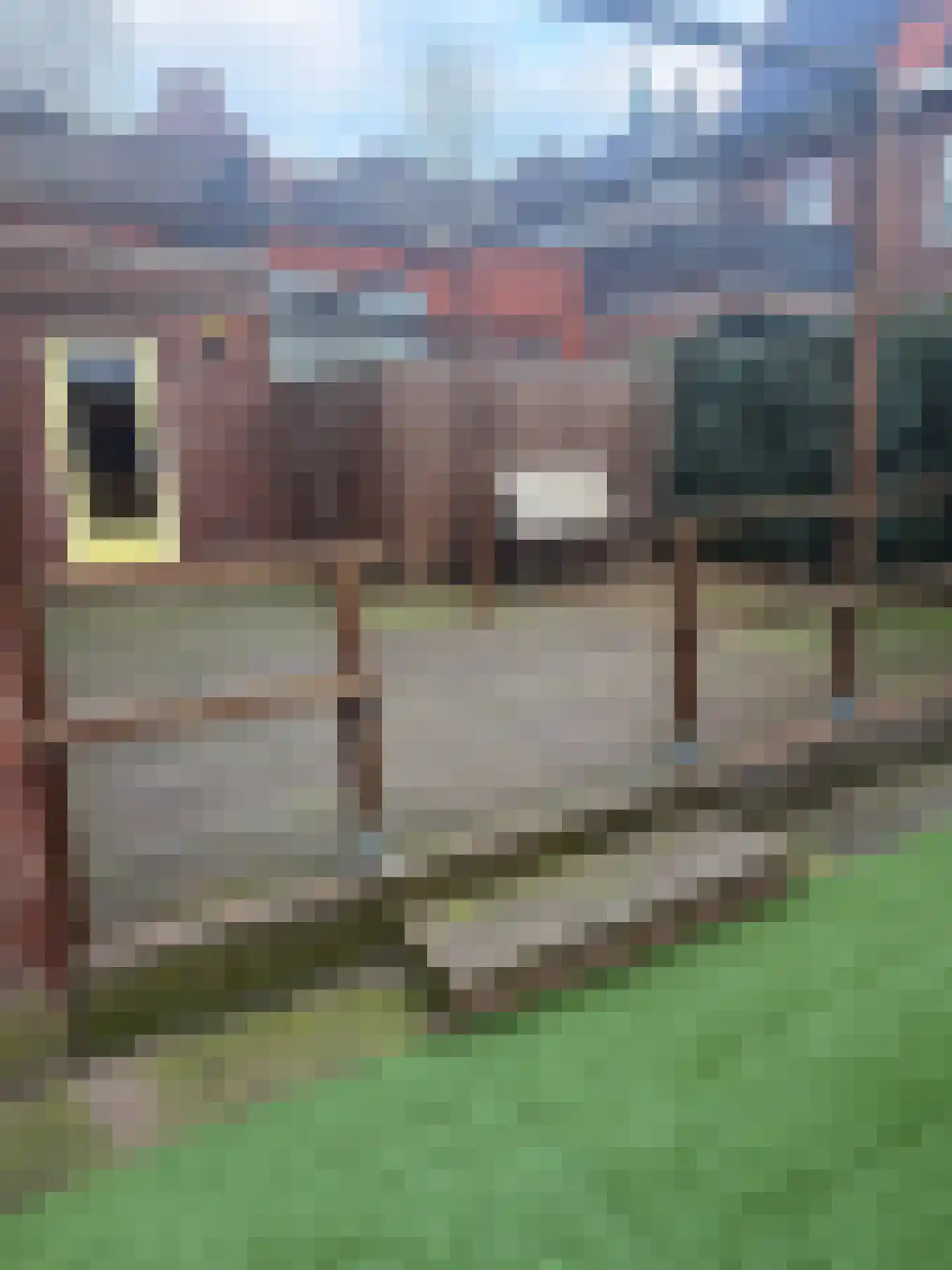 Koningin Julianastraat 44 Nootdorp thumbnail 16
