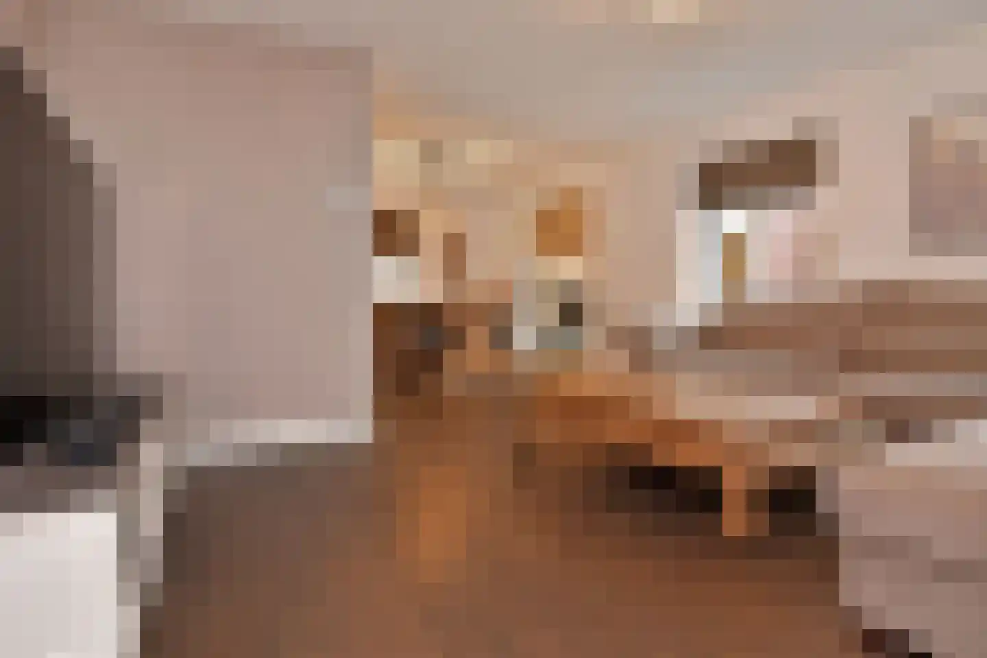 Koningin Julianastraat 44 Nootdorp thumbnail 5