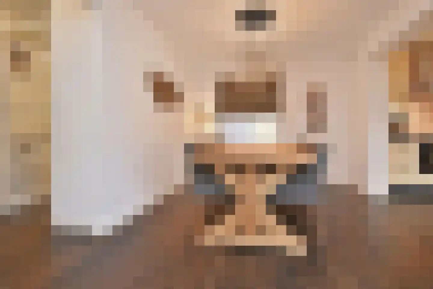 Koningin Julianastraat 44 Nootdorp thumbnail 6