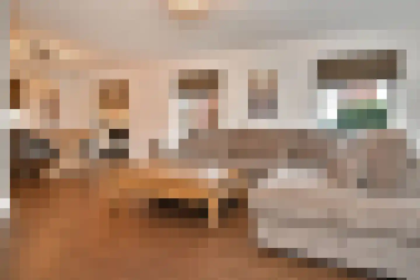 Koningin Julianastraat 44 Nootdorp thumbnail 7