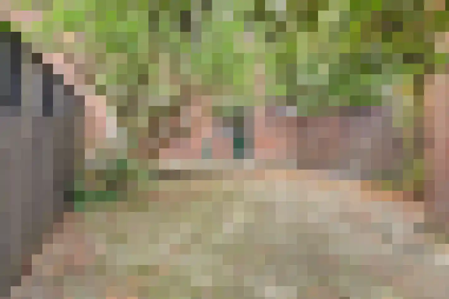 Koningin Julianastraat 5 Waarder thumbnail 27