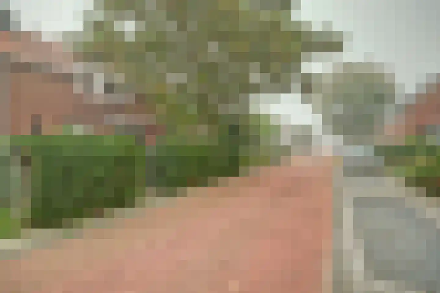 Koningin Julianastraat 5 Waarder thumbnail 29